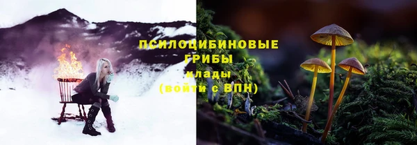 круглые Нефтекумск