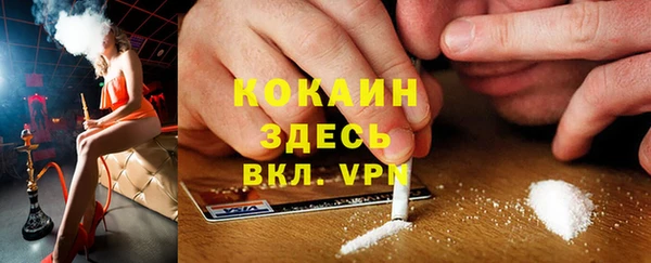 индика Апатиты