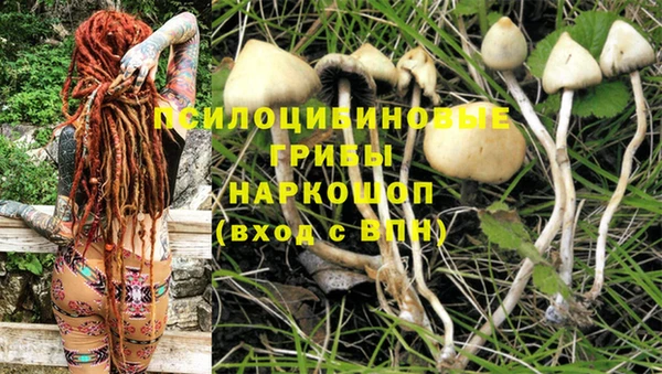 MDMA Premium VHQ Нефтегорск