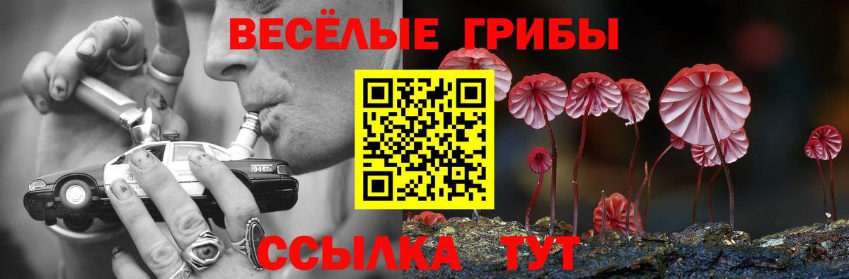 Удомля  Галлюциногенные грибы GOLDEN TEACHER  Вход с VPN 